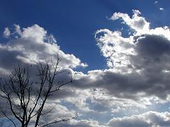 clouds (77)